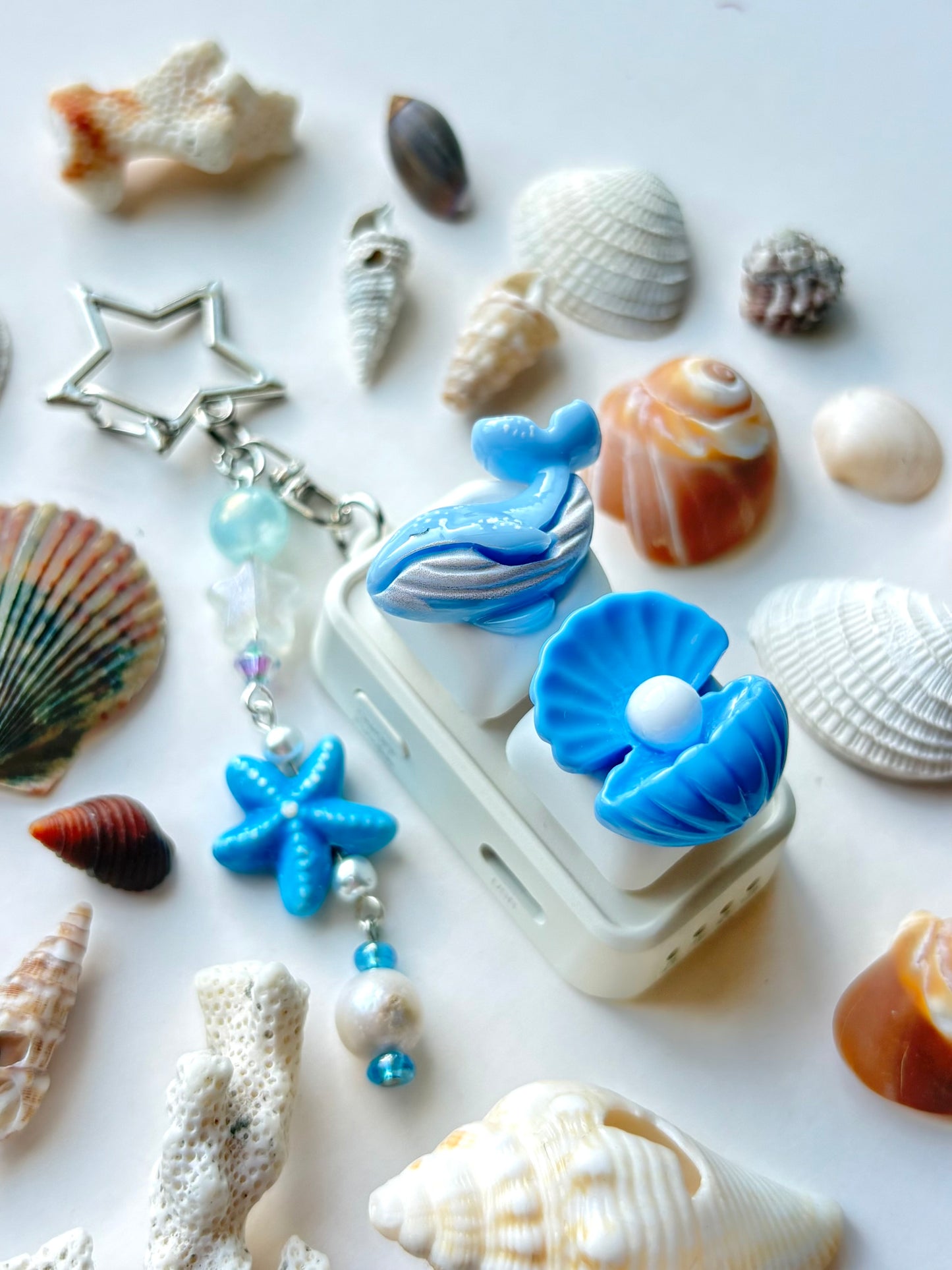 Mini Keyboard Page Turner | White and Blue Whale and Clam 🐋 🐚