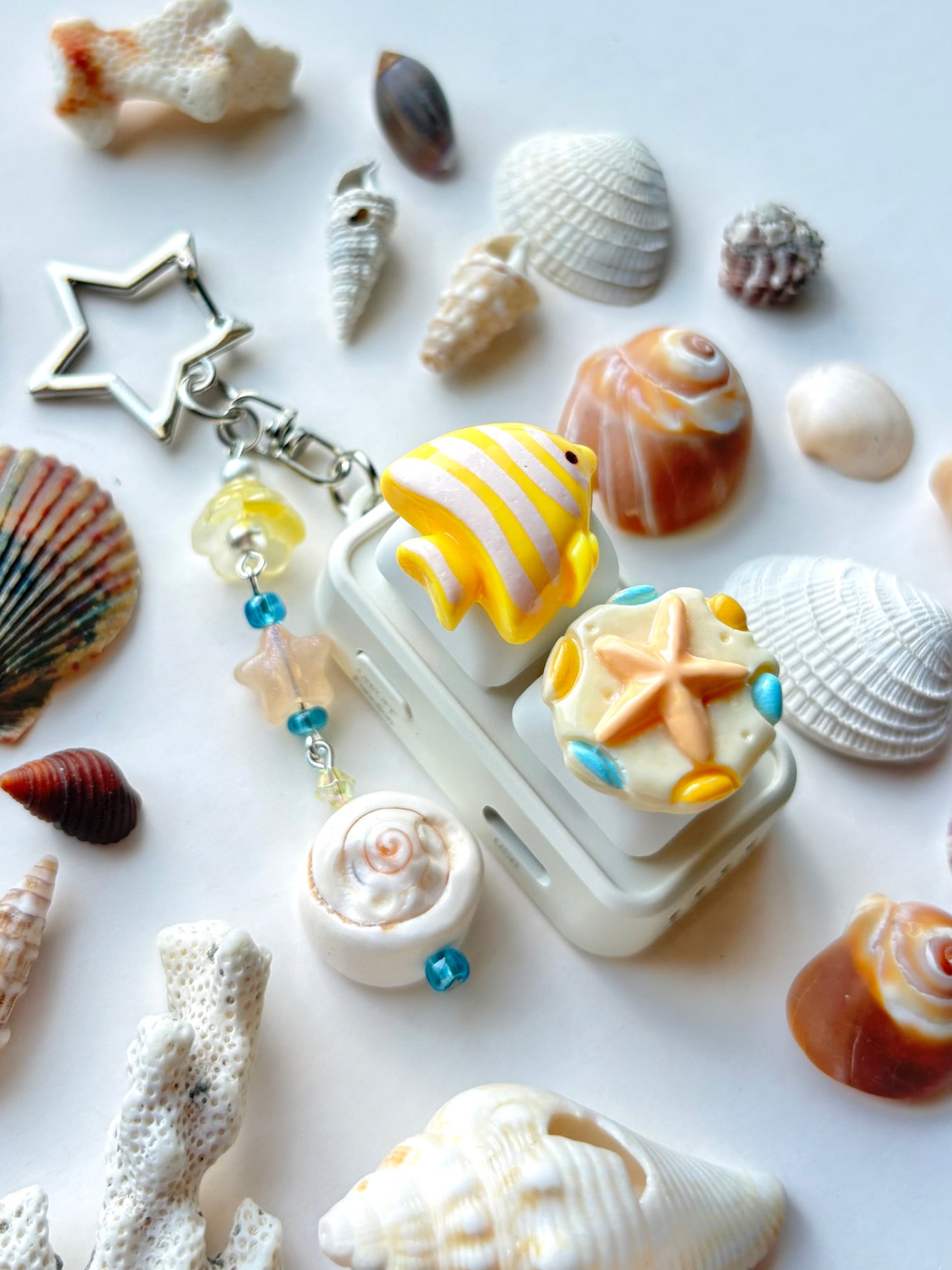 Mini Keyboard Page Turner | White and Yellow Butterflyfish and Sand Dollar 🐠 🐚