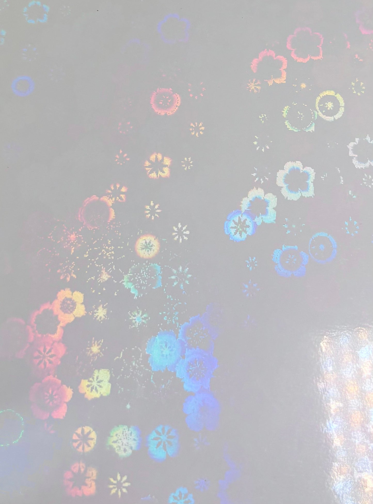Holographic E-Reader Skin | Flowers